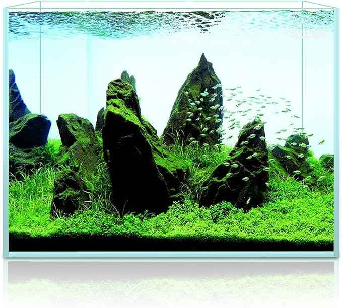 LYPHARD AQUARIUMS 2.9 Gallon Rimless Aquarium, Ultra Clear Glass Low Iron Aquarium Tank, Small Fish Tank for Betta, L11.8×W5.9×H9.8 Inches Thickness 5mm with EVA Foam Mat Included