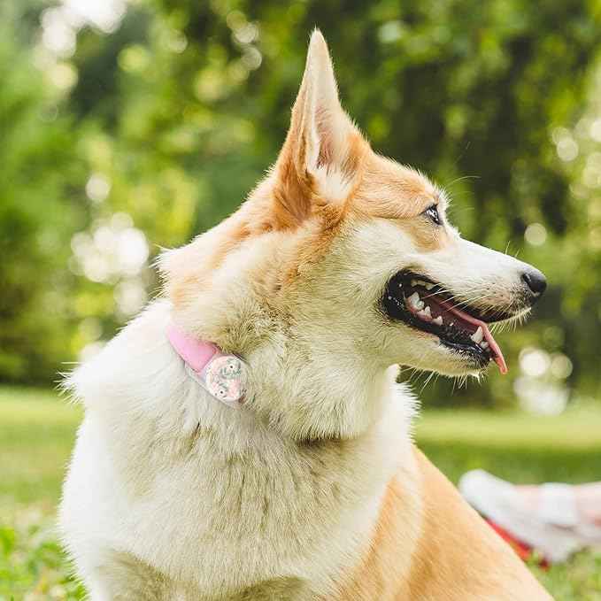 Rifle Paper Co. Airtag Dog Collar Holder - Waterproof Airtag Case - Unique Floral Design - Compatible with Cat/Dog Collars - Wild Flowers