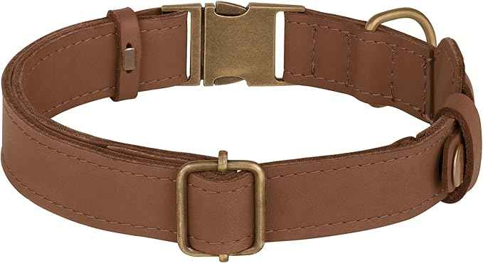 AirTag Dog Collar - Genuine Leather Dog Collar with Apple AirTag Holder and Metal Buckle - Smart GPS Tracking Pet Collars (Tawny, M, 14"-18" Neck Fit)