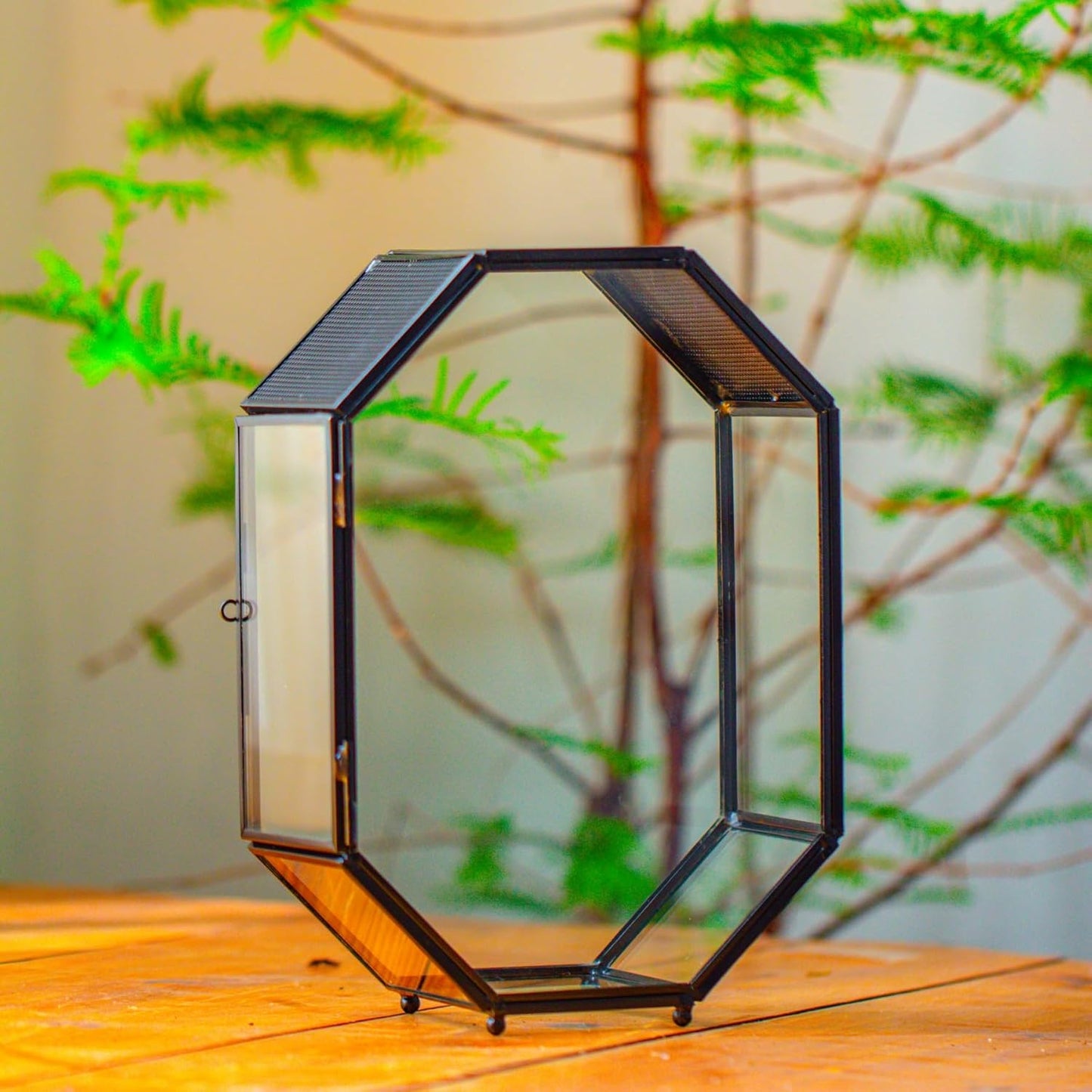 NCYP Glass Enclosure Terrarium with Mesh and Door for Jumping Spiders, Snails, Insects - Octagon Shape Small Succulents Terrarium 6.2 x 3.1 x 8.7 inches, Black Tabletop Decor (Plants Not Include) - FurryFun
