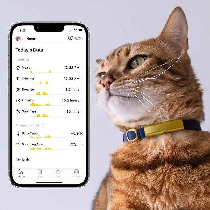 Health Tracker for Cats - Smart Cat Collar with Safety Breakaway Buckle for Indoor Cats, Wellness Alerts, Real-time Monitoring (Sakura,XXL)