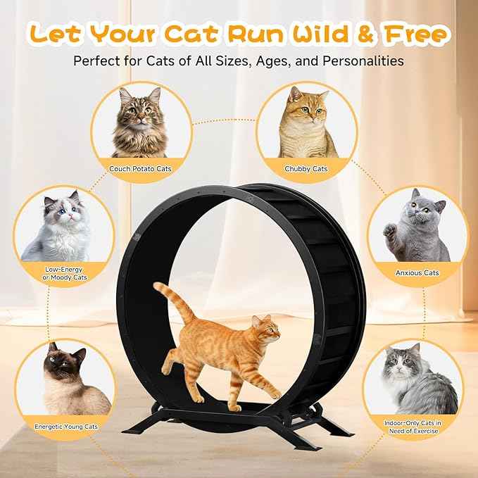 GTPLAYER Cat Wheels, Large Cat Exercise Wheel for Indoor Cats, 40"Diameter cat treadmill Detachable Carpet & Teaser, stickers, Ultra-quiet scroll wheel With latch, Suitable for Most Cats, Metal, Black