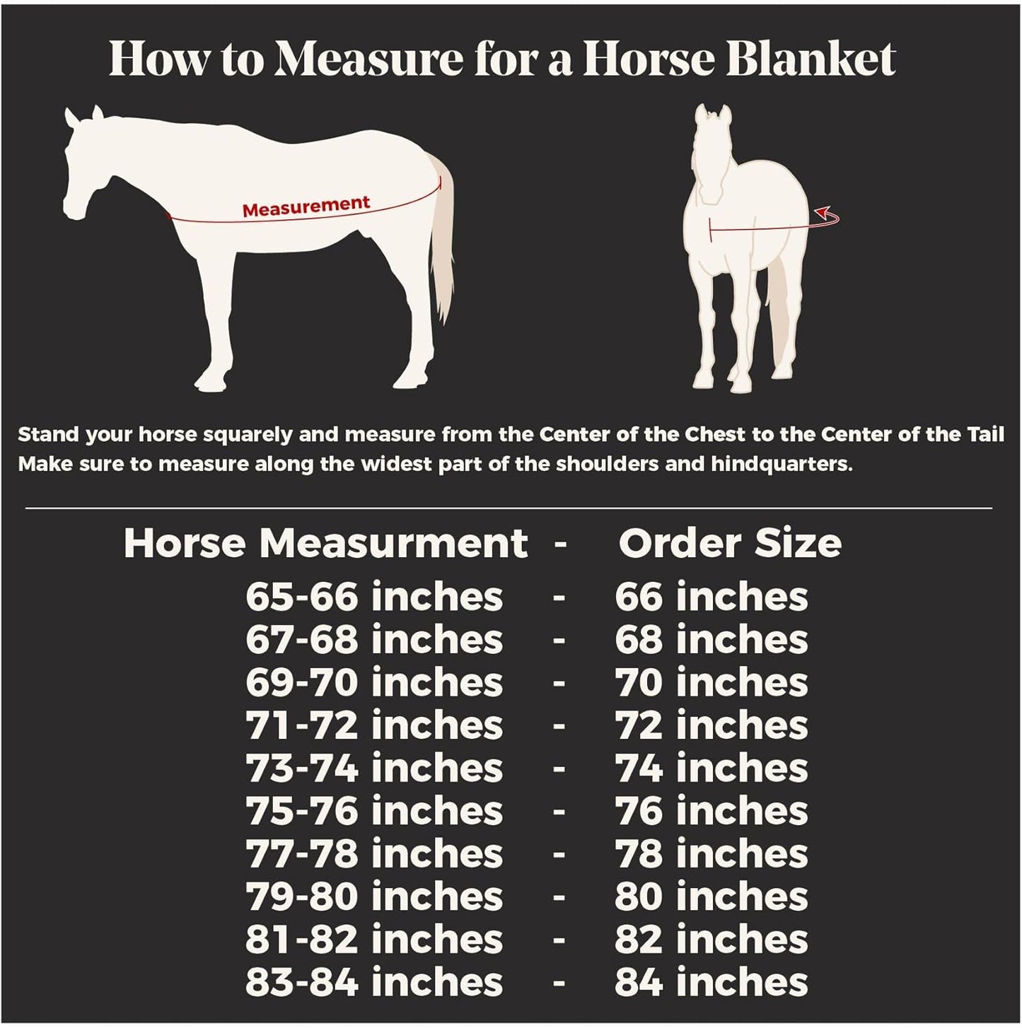 Schneiders Soft Interlock Mesh II Attached Neck Euro Bellyband Leg Shield Horse Fly Sheet | 80% UV Protection | SilverTek Lining