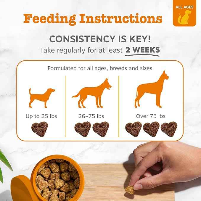 Zesty Paws Dog Allergy Relief Chews, Dog Probiotics for Itchy Skin and Ears, Peanut Butter, 90ct