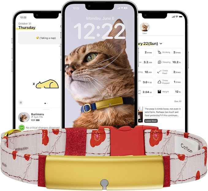 Health Tracker for Cats - Smart Cat Collar with Safety Breakaway Buckle for Indoor Cats, Wellness Alerts, Real-time Monitoring (Kimono (Ume),XL)