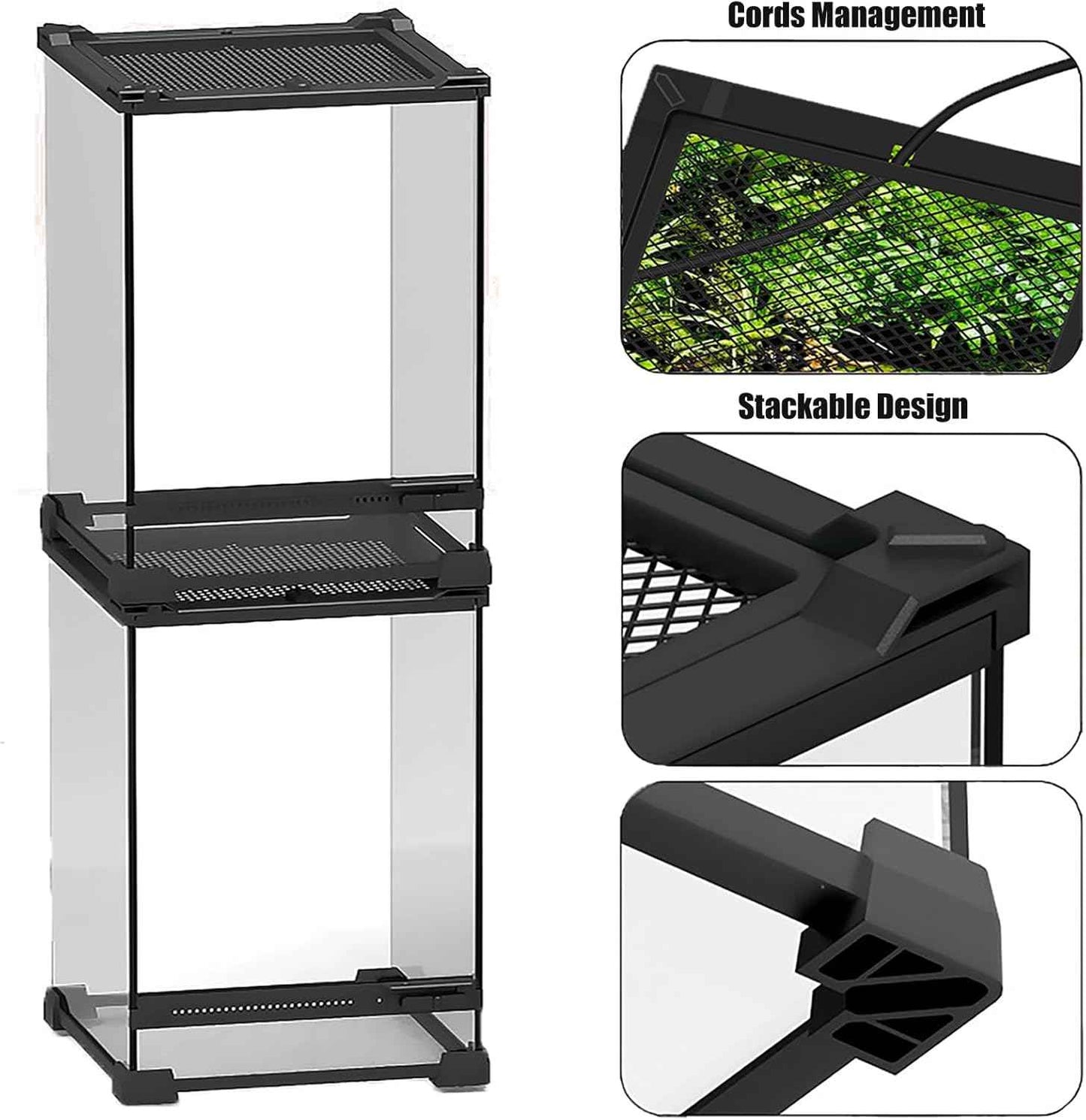 Woyrise Reptile Glass Terrarium Tank 8"x8"x12", Front & Top Opening Door Full View Visually Appealing Mini Reptile or Amphibians Habitat, Stackable Vertical Enclousure for Small Reptiles