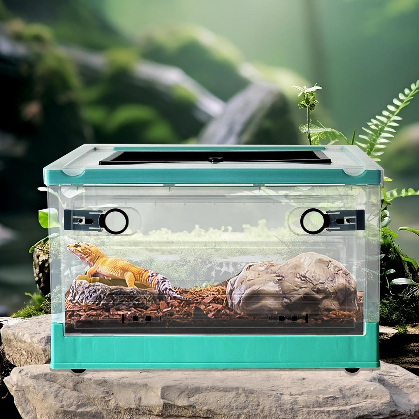 PINVNBY Plastic Reptile Feeding Box with Wheels,Reptiles Breeding Enclosure Cages Transparent Amphibians Habitat Terrarium Tank Portable Transport Container for Lizard,Bearded Dragon(Blue) - FurryFun