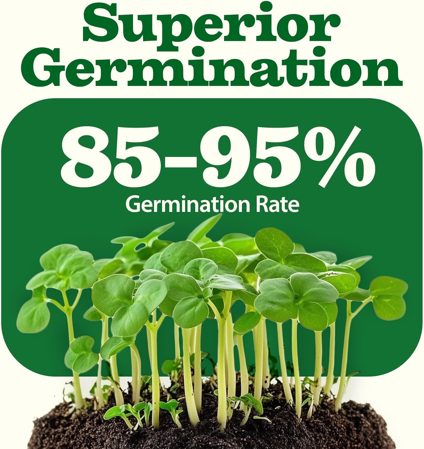 HOME GROWN 𝗨𝗦𝗔 𝗣𝗥𝗘𝗠𝗜𝗨𝗠 55 Vegetable Seeds Pack 28,000+ Non-GMO Heirloom Seeds for Planting, Spring Fall Winter Garden Kit, Survival Seed Vault for Preppers & Gardeners, Gift for Men & Women