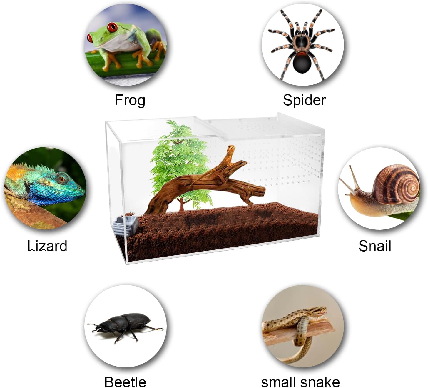 NANEEZOO Acrylic Reptile Terrarium Enclosure, 14”x6”x8” Tarantula Enclosure with Magnetic Sliding Door, Breeding Box for Arboreal Reptiles, Amphibians, Mantis, Spiders, Cricket & Other Invertebrates - FurryFun