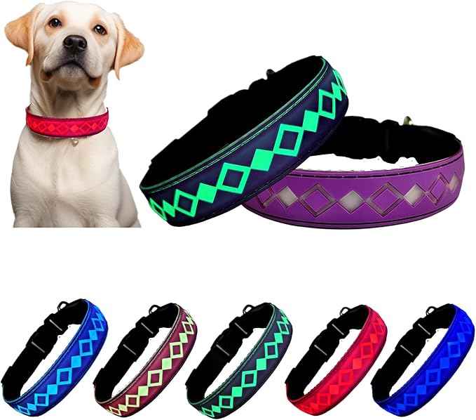 LED Dog Collar with AirTag Holder and Custom ID Tag, 15 Light Modes, Waterproof, Multiple Colors (PURPLE, L(15.7-19.7"))