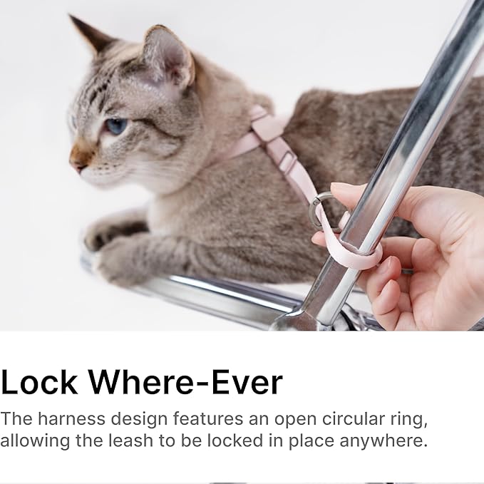 Cat Harness Escape-Proof Anti-Choking Adjustable Nylon Harness Lightweight with Anodized Aluminum Buckle, Ideal for Cats Outdoor Walking and Training, IDA Award (Linen, S (13.8"))