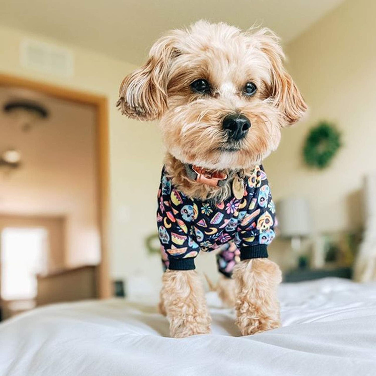 CuteBone Small Dogs Outfit Soft Puppy Onesies Pjs Halloween Dog Pajamas Pet Coat Cat Apparel Comfy Doggie Jumpsuit Bodysuit for All Seasons P73L