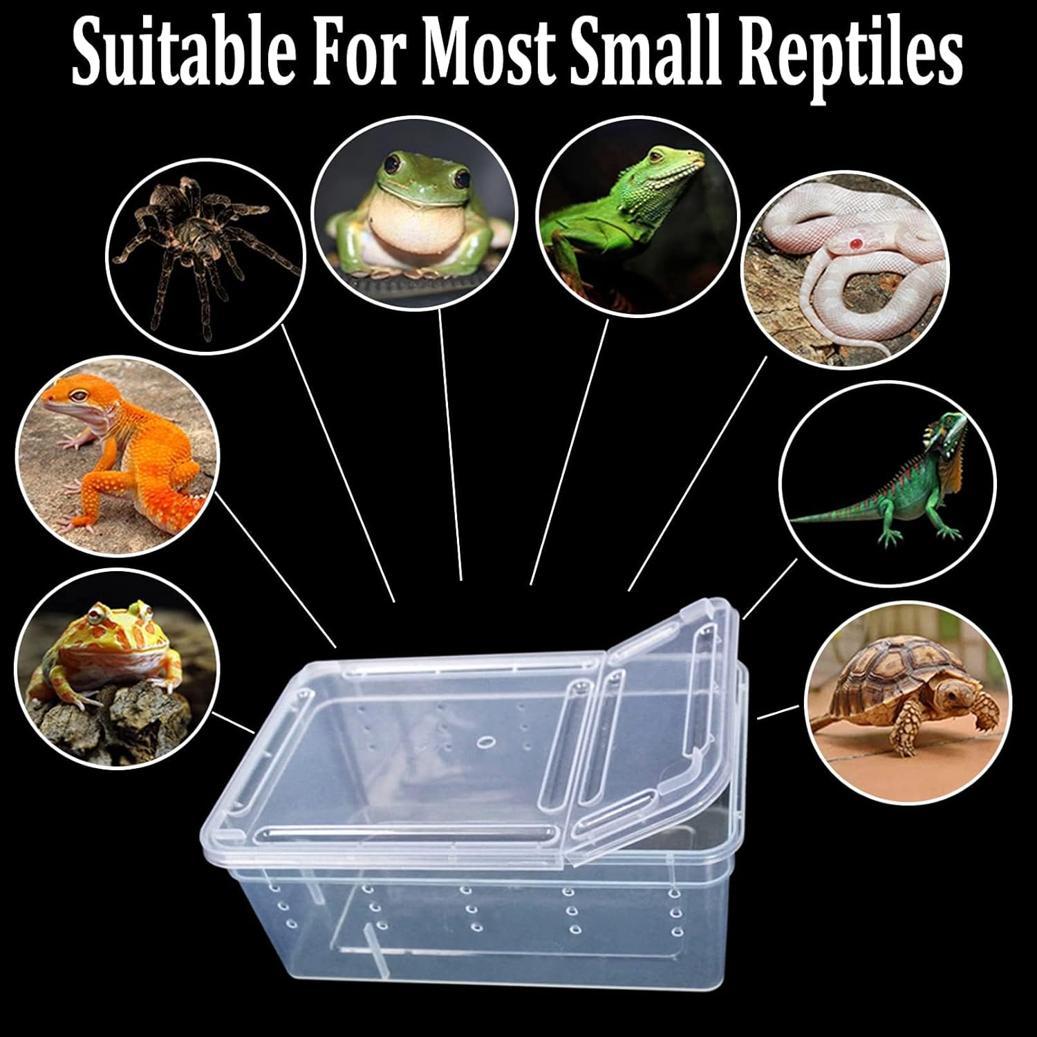 Critter Keeper 2-Pack, Cricket Cage & Reptile Feeding Box 12.59"x8.66"x5.9" Transparent Portable Plastic Snake Habitat Escape-Proof Ventilated Design for Gecko, Tarantula, Scorpion, Spider, Frog - FurryFun