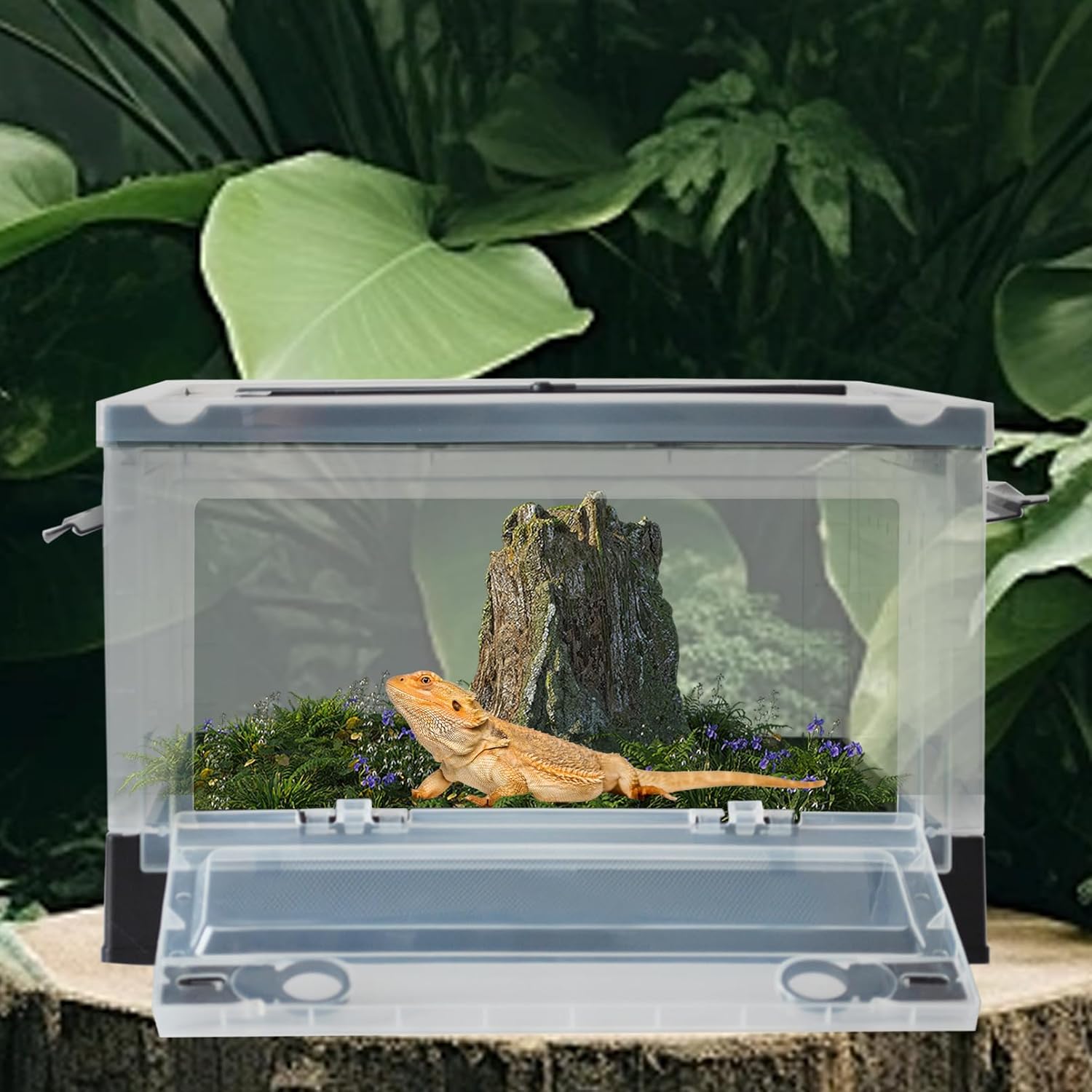 PINVNBY Plastic Reptile Feeding Box with Wheels,Reptiles Breeding Enclosure Cages Transparent Amphibians Habitat Terrarium Tank Portable Transport Container for Lizard,Bearded Dragon(Black) - FurryFun