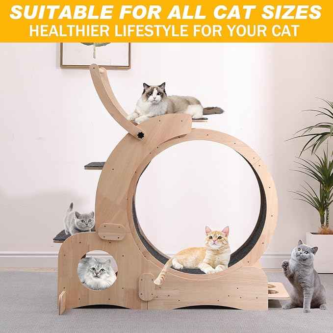Cat Wheel 7-in-1 Upgraded Exercise Treadmill for Indoor Cats，Cat Treadmill with Silent Running Wheel, Cat Tunnel, Cat Wheels for Indoor Cats, Perfect Cat Jym & Toy for Endless Fun & Fitness