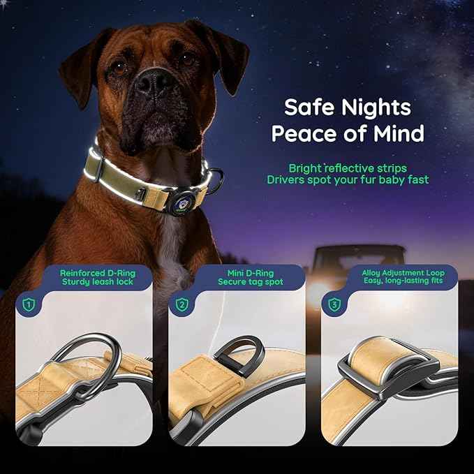 WhoseID Premium Leather Dog Collar - AirTag Dog Collar | Fur-Safe Magnetic Buckle | IPX8 Waterproof Reflective Small Dog Collar with AirTag Holder