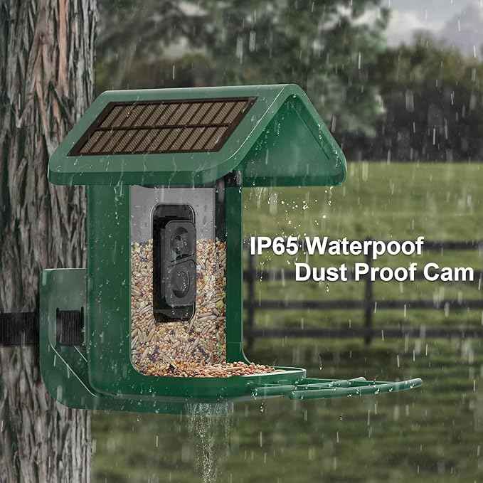 Bird Feeder with Camera Solar Powered : Smart Camera Bird Feeder 2K Live Feed Cam for Backyard - AI Identify Auto Capture Videos Pictures, Gifts for Birdlover Mom Dad, 2.4GHz WiFi