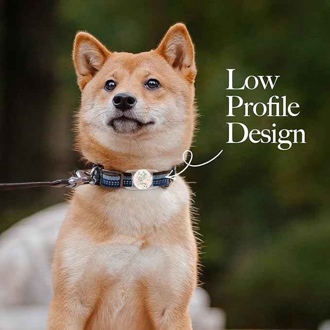 Rifle Paper Co. Airtag Dog Collar Holder - Waterproof Airtag Case - Unique Floral Design - Compatible with Cat/Dog Collars - Wild Flowers