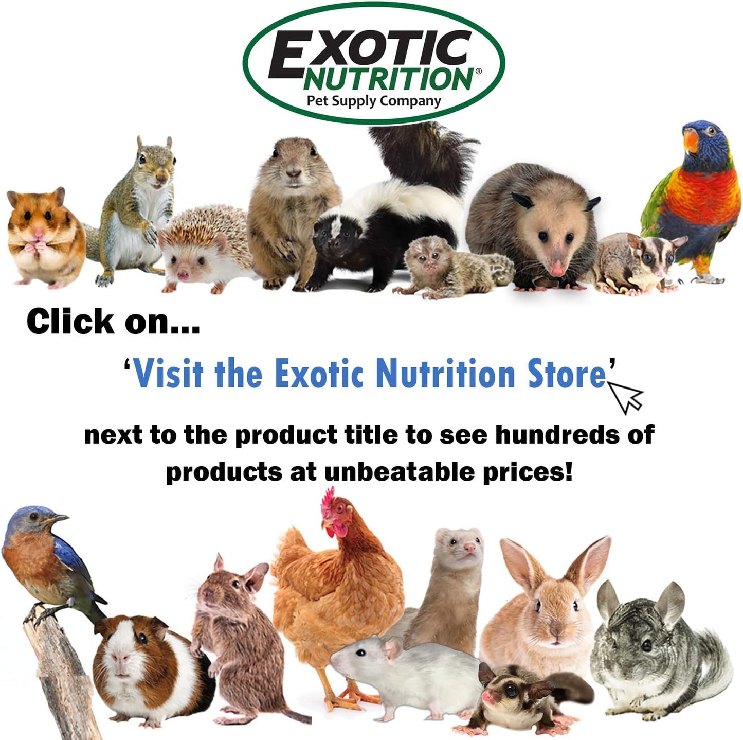 Squirrel-Cal 3.5 oz. - Ultra-fine Powdered Calcium Supplement - for Pet Squirrels