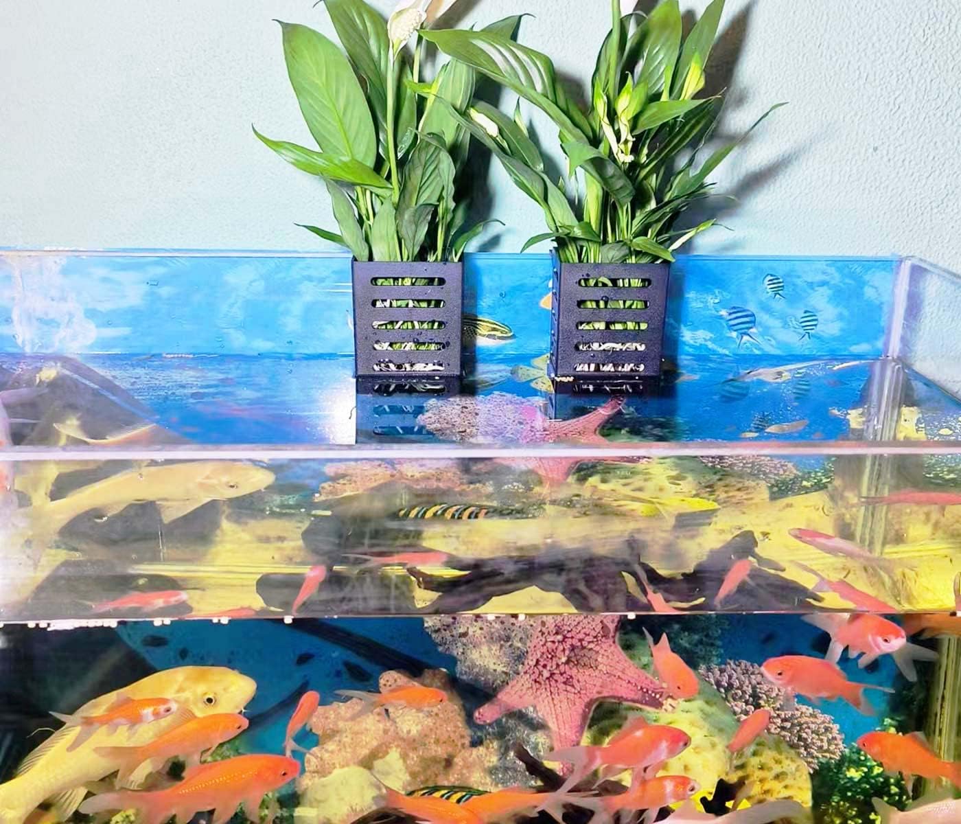 4 PCS Hanging Aquarium Planter Cups, Aquatic Plants Holder, Aquarium Planter Cup, Aquarium Decorations Plants Pot and Fish Tank Plants Pot for Live Aquarium Decor (Black-4 PCS)