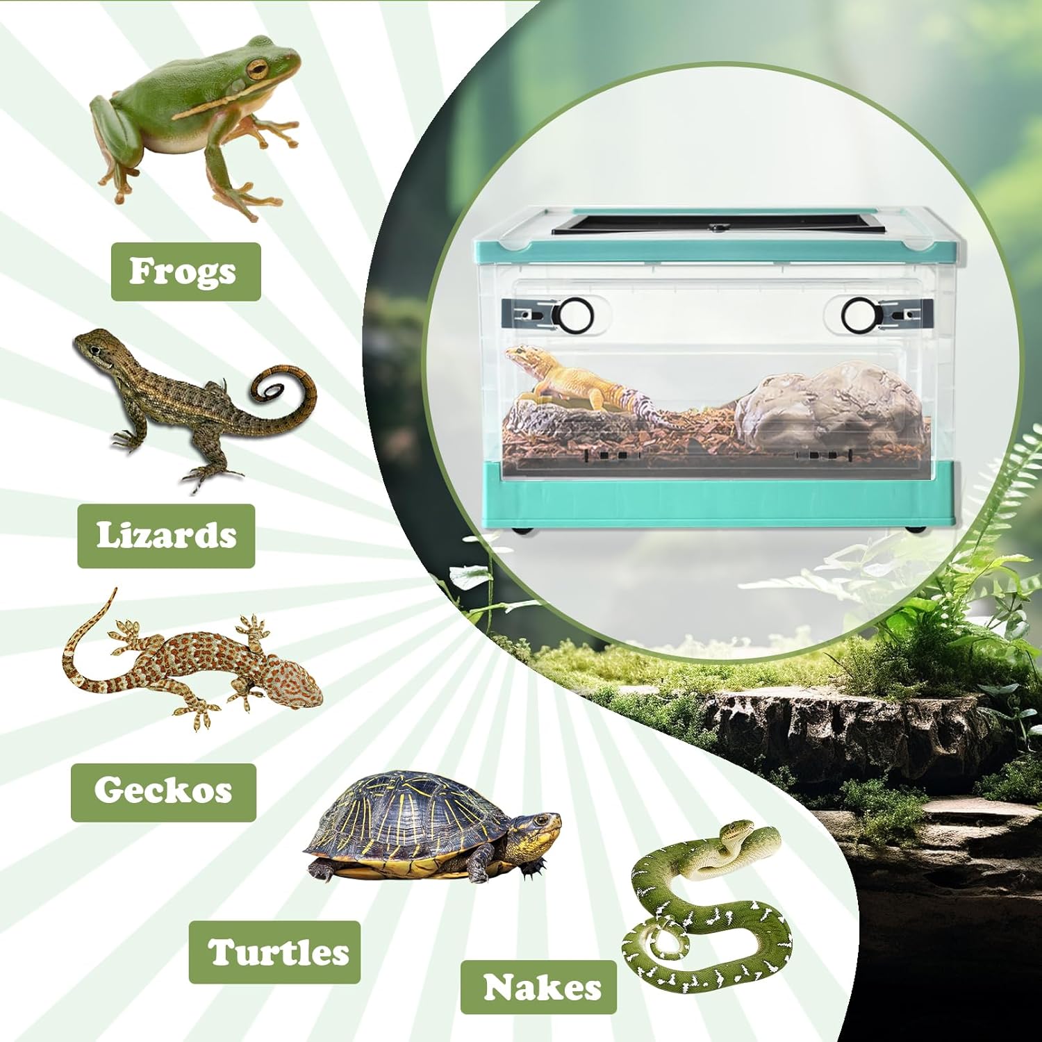 PINVNBY Plastic Reptile Feeding Box with Wheels,Reptiles Breeding Enclosure Cages Transparent Amphibians Habitat Terrarium Tank Portable Transport Container for Lizard,Bearded Dragon(Blue) - FurryFun