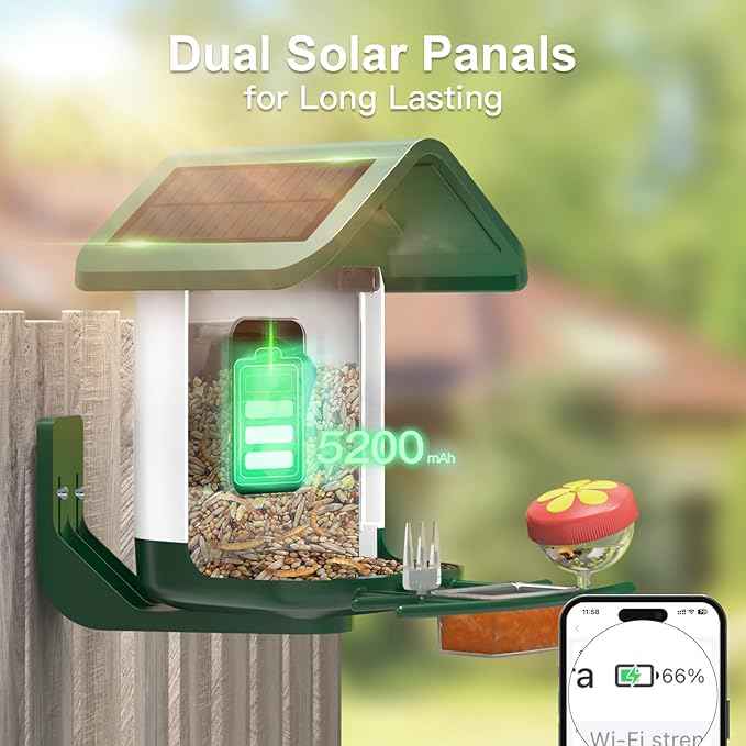 Bird Feeder with Camera Solar Powered : Smart Camera Bird Feeder 2K Live Feed Cam for Outdoor Backyard - Ai Identify Auto Capture Videos Pictures, Gifts for Birdlover Mom Dad, 2.4GHz WiFi