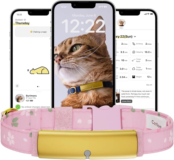Health Tracker for Cats - Smart Cat Collar with Safety Breakaway Buckle for Indoor Cats, Wellness Alerts, Real-time Monitoring (Kimono (Sakura),M)