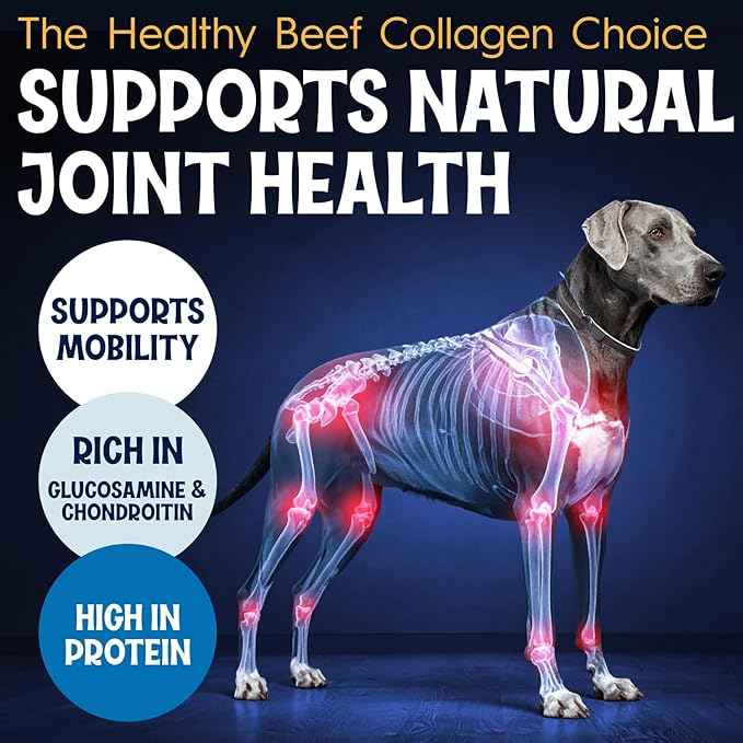 12" Collagen Sticks for Dogs – Low Odor Long-Lasting Bully Stick & Rawhide Alternative, Single Ingredient Beef Bone, High Protein Dental Treat, Vet Approved, Improves Joint Health – 5 Pack
