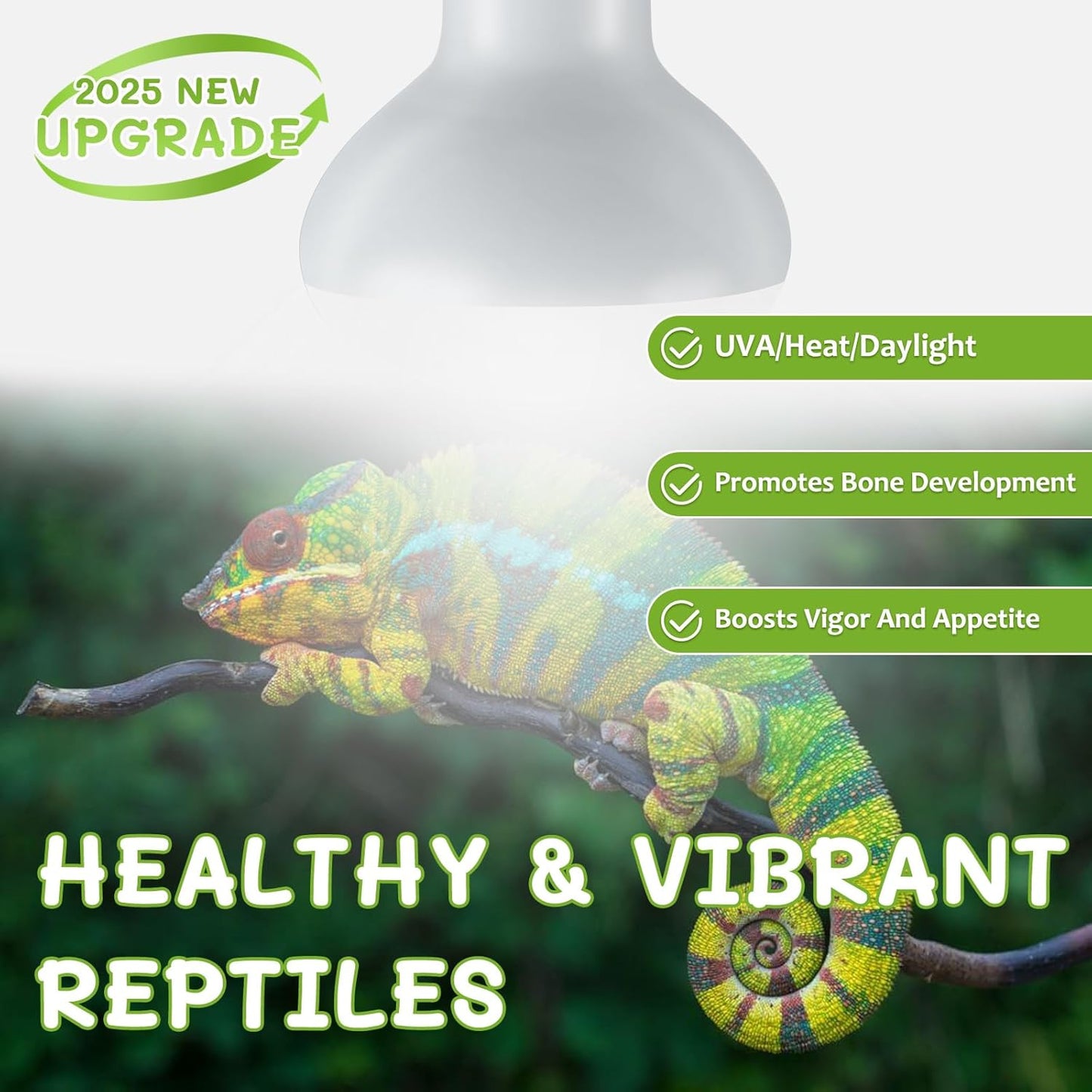 Reptile Heat Lamp Bulbs, Simulate Natural Sunlight Heat Light Bulb, 2 Pack 75W Amphibian Terrarium Basking Spot Lamp for Reptile, Bearded Dragon, Lizard, Turtle, Snake