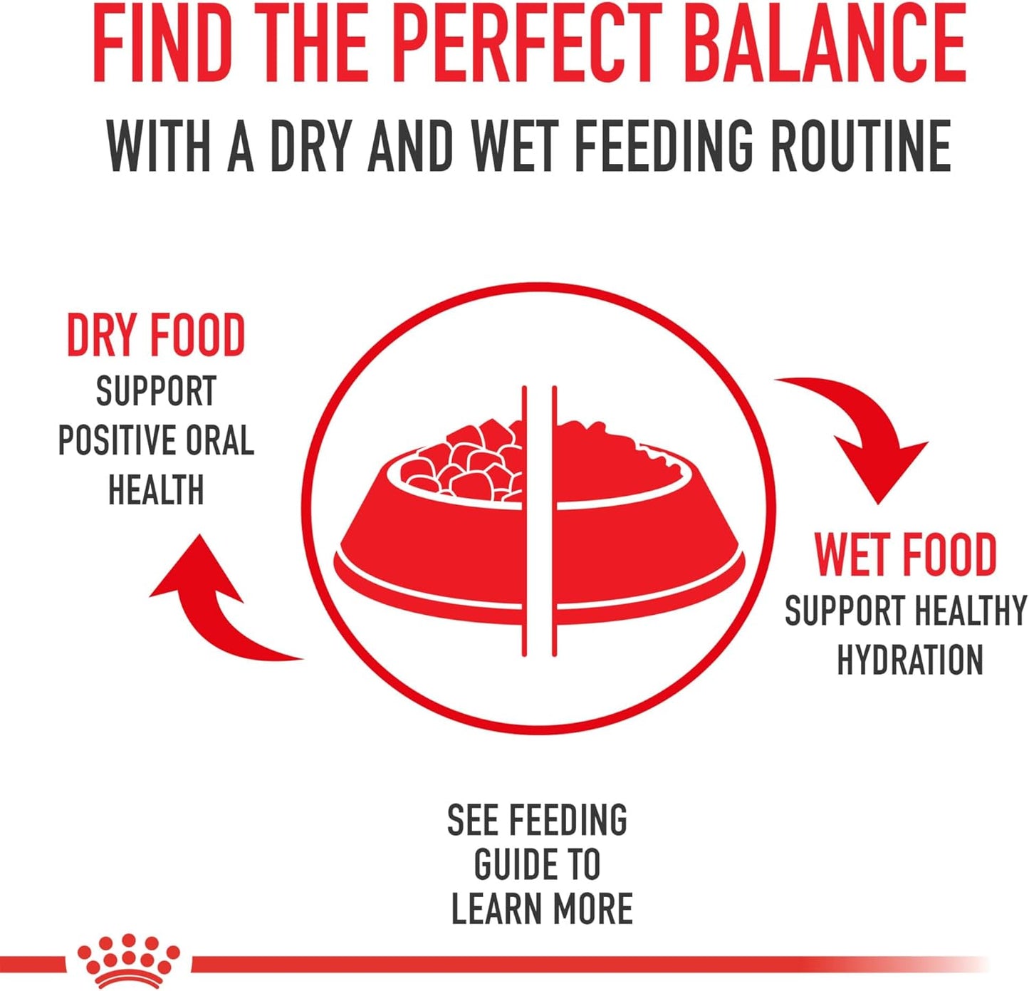 Royal Canin American Shorthair Breed Adult Dry Cat Food, 5.5 lb.