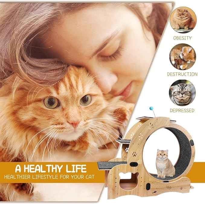 6-in-1 Cat Exercise Wheel, Upgraded Large Cat Wheel Exerciser, Running Wheels for Indoor Cats, Cats Wheel with Silent (Wood)