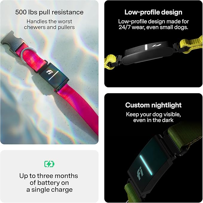 New Fi Series 3+ Smart Dog Tracker Collar [6 Month Membership Included] GPS Tracker for Dogs with Health & Behavior Monitoring, Escape Alerts, Waterproof, LED, Apple Watch Compatible (Gray, Small)