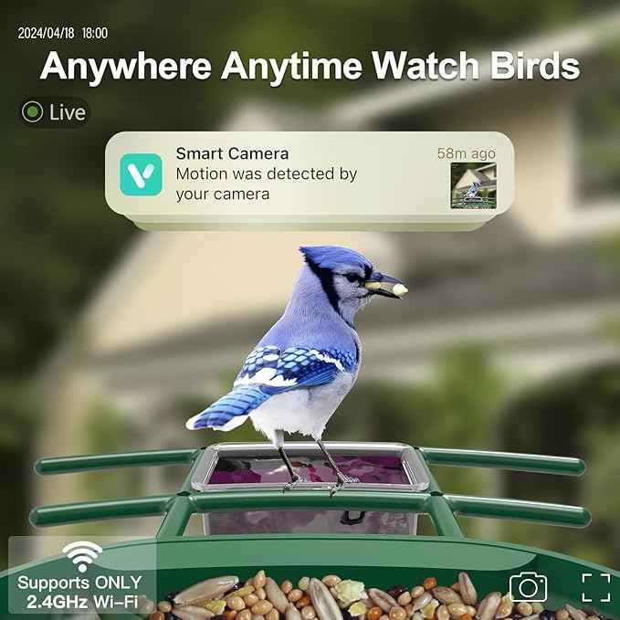 Bird Feeder with Camera Solar Powered : Smart Camera Bird Feeder 2K Live Feed Cam for Outdoor Backyard - Ai Identify Auto Capture Videos Pictures, Gifts for Birdlover Mom Dad, 2.4GHz WiFi