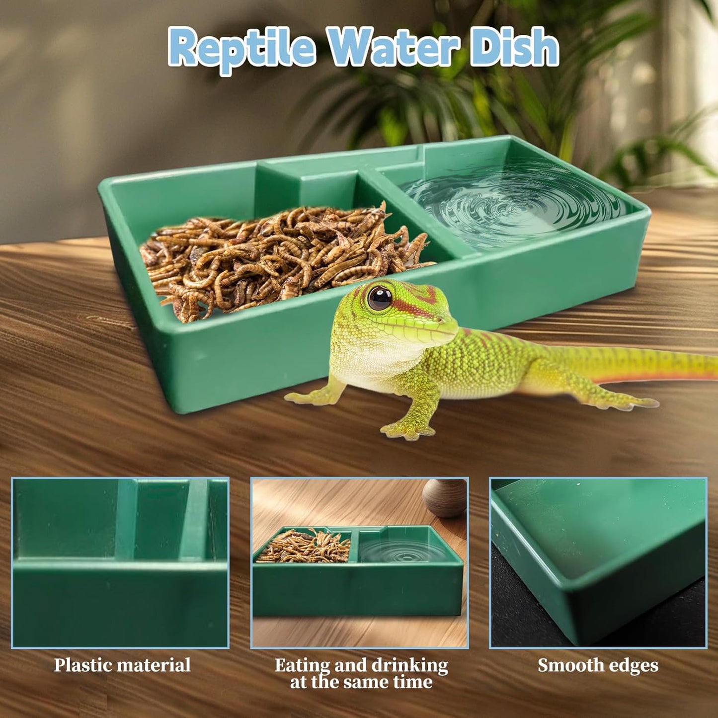 PINVNBY Reptile Feeding Box 6 PCS Snake Breeding Box Lizard Cricket Cage Habitat Hatching Container Transparent Portable Critter Keeper for Spider Scorpion Gecko Tortoise Treefrog (2 Large 4 Small) - FurryFun
