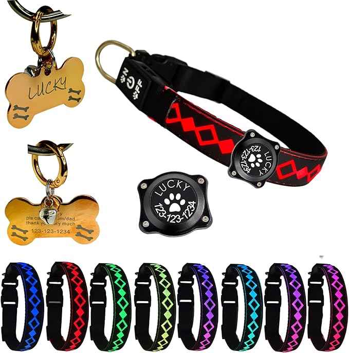 LED Dog Collar with AirTag Holder and Custom ID Tag, 15 Light Modes, Waterproof, Multiple Colors (Black, S(7.87-11.8"))