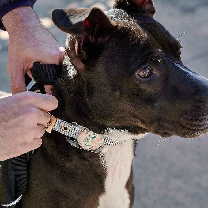 Rifle Paper Co. Airtag Dog Collar Holder - Waterproof Airtag Case - Unique Floral Design - Compatible with Cat/Dog Collars - Wild Flowers