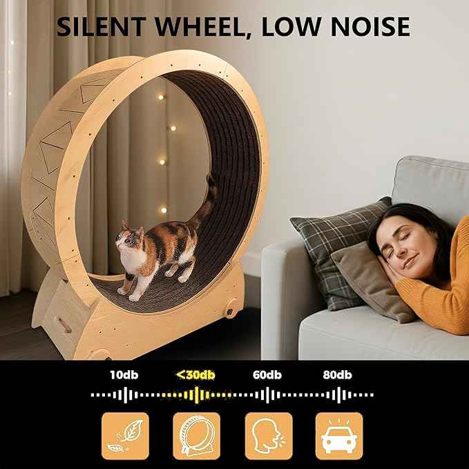 Portable Cat Running Wheel for Indoor Cats 44" Large XL 12" Wide, Cat Treadmill, Wheel with Carpeted Runway for Kitty’s Longer Life, Moveable Safe & Stable Design.