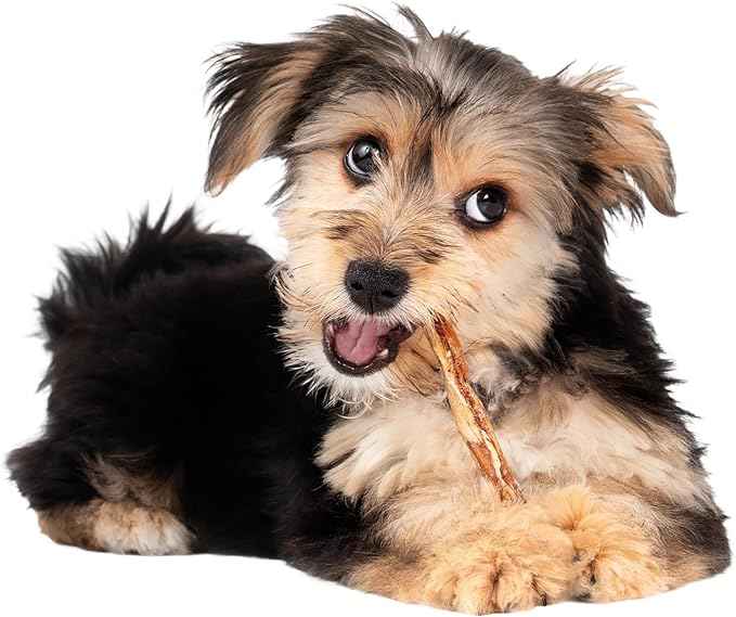 Fieldcrest Farms Nothin' to Hide Twist Stix, Beef Flavor, Easily Digestible, Supports Skin, Coat, Joints & Muscles, for Moderate Chewers Under 15lbs, 10 Pieces