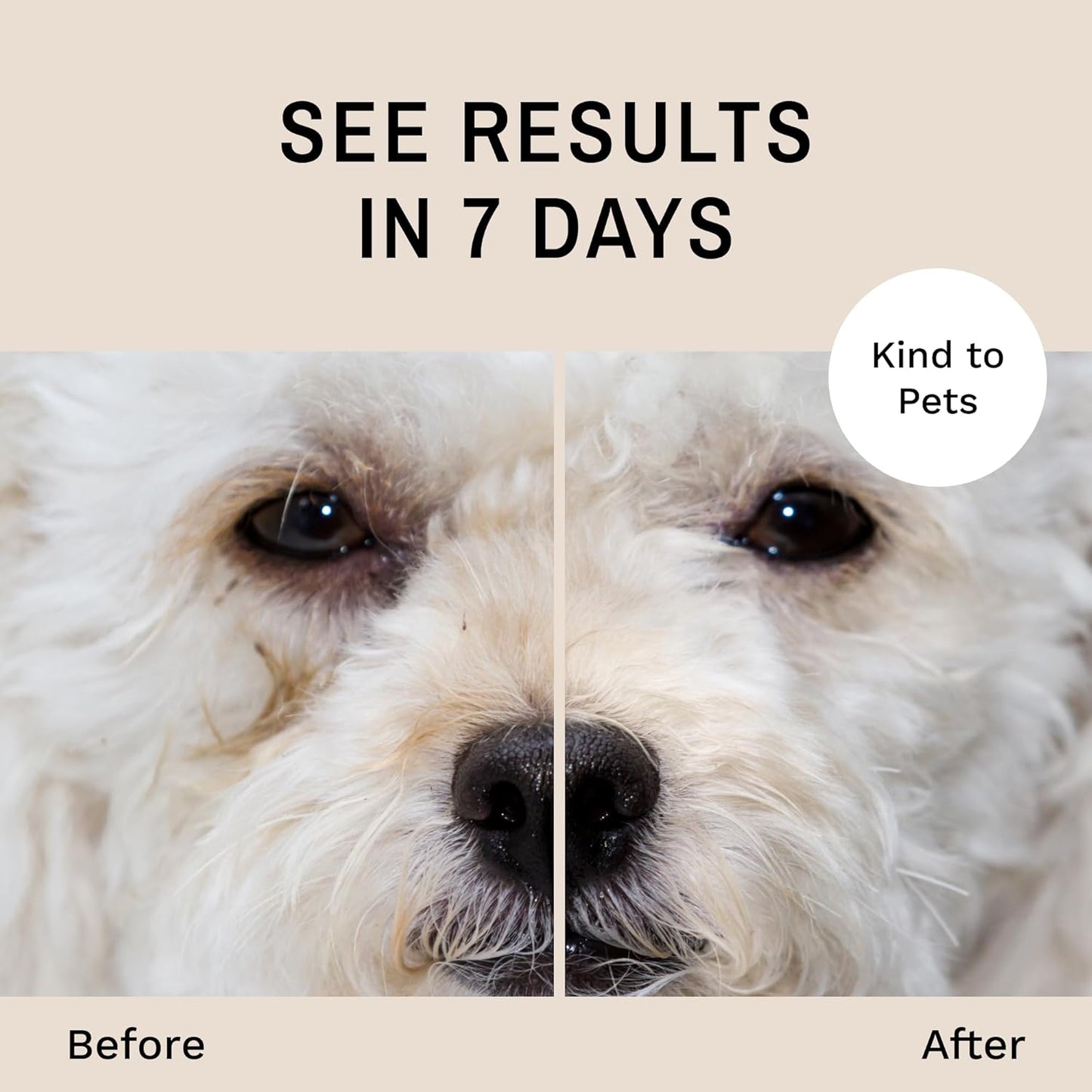 Eye Envy Dog Tear Stain Remover Starter Kit with ProPowder Brush | Stain Solution, Applicator Pads, Stain Powder and Large Applicator Brush | Lasts 30-45 Days