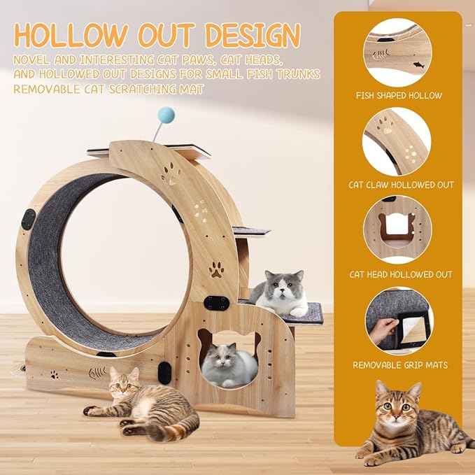 6-in-1 Cat Exercise Wheel, Upgraded Large Cat Wheel Exerciser, Running Wheels for Indoor Cats, Cats Wheel with Silent (Wood)