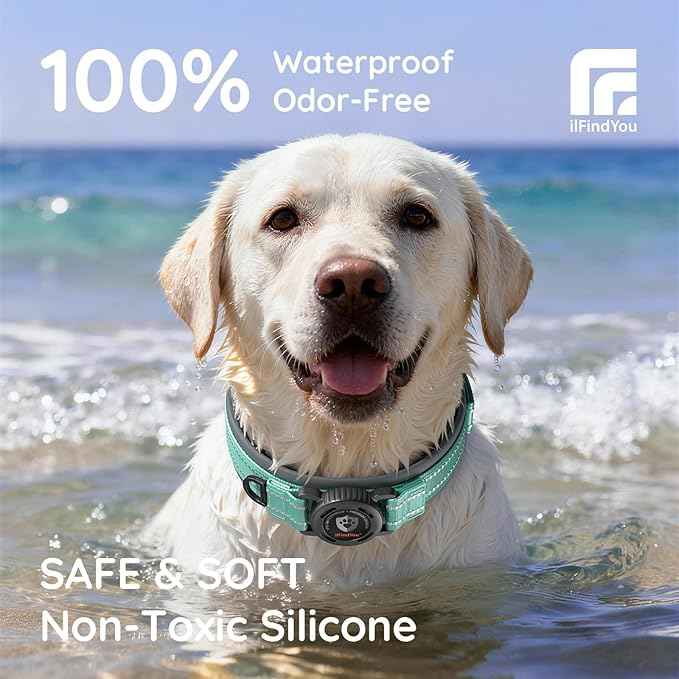 Upgraded AirTag Dog Collar with Holder, Waterproof Reflective Air Tag Dog Collar with Widened Comfortable Padding & Ultra-Durable Metal Buckle, Adjustable for Medium (Cyan, Small)