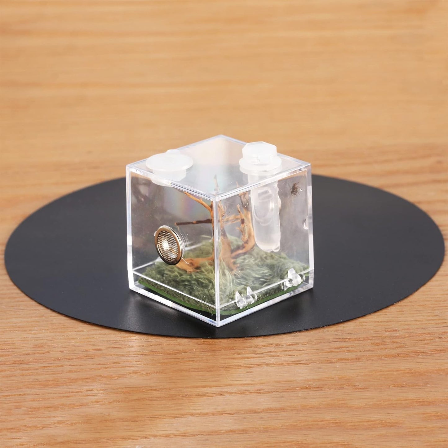 crapelles Jumping Spider Micro Middle Habitat, Small Pet Insect Breeding Box, 360 Degree Transparent Reptile Cage, Acrylic Case Mini Carrier for Amphibians, Feeding Container Enclosure Accessories - FurryFun