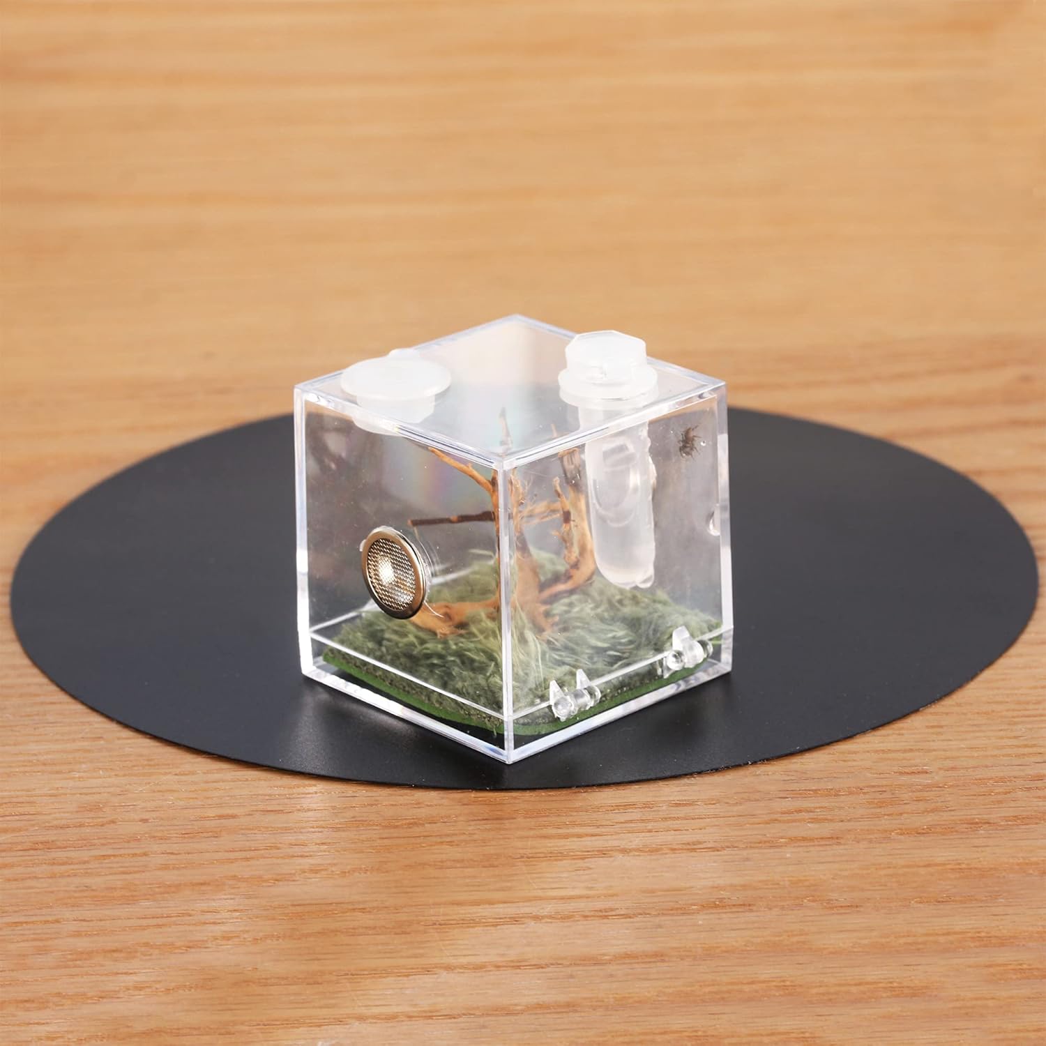 crapelles Jumping Spider Micro Middle Habitat, Small Pet Insect Breeding Box, 360 Degree Transparent Reptile Cage, Acrylic Case Mini Carrier for Amphibians, Feeding Container Enclosure Accessories - FurryFun
