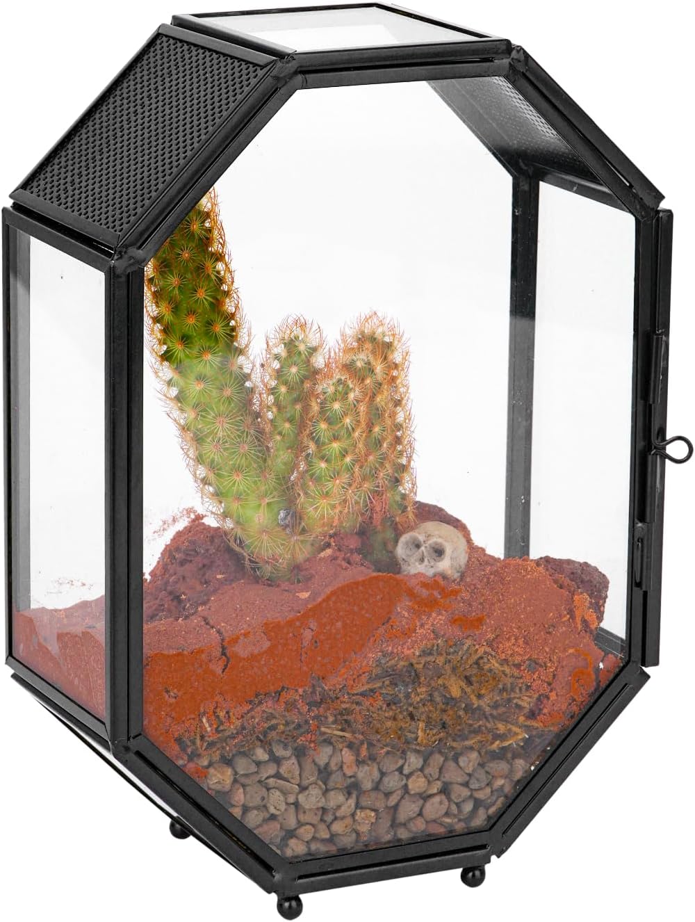 NCYP Mini Glass Terrarium with Vent and Door for Succulents Plants, Jumping Spiders, Insect - Octagon Small Closed Geometric Enclosure, Black Indoor Tabletop Decor, 5 x 2.3 x 7 Inches (Terrarium Only) - FurryFun