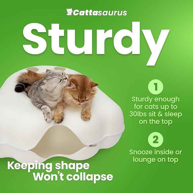 Cattasaurus Unique Gothic Peeka-Boo Cat Cave, Extra Spacious for Multiple & Large Cats 15+ lbs, Scratch Detachable Cat Beds for Indoor Cats, Washable Tunnel Bed (White Ghost, Jumbo)