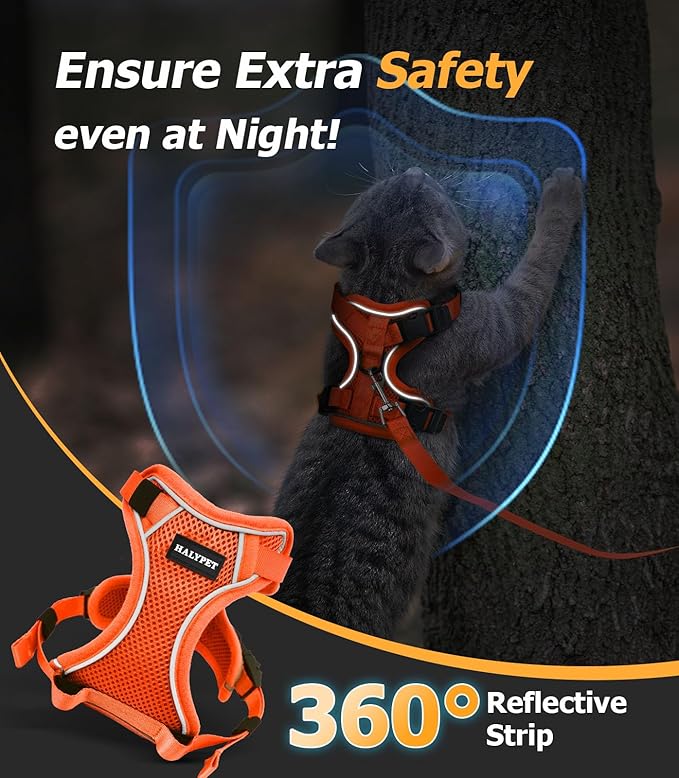 Halypet Cat Harness and Leash Set [MAX Safety 4th-Gen Upgrade] Escape Proof Adjustable Cat Leash Comfortable Soft Vest Easy to Wear Kitten Harness with Reflective Strip for Cats Walking, M Orange