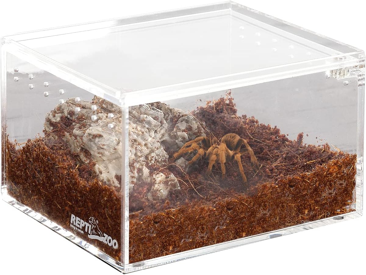 REPTI ZOO Magnetic Acrylic Case 4.1"x3.3"x2.5" Nano Enclosure Reptile Breeding Box Terrarium Cage Tank Tarantula Scorpion Sling Isopods Lizards Roach Invertebrates Insect Mantis - FurryFun
