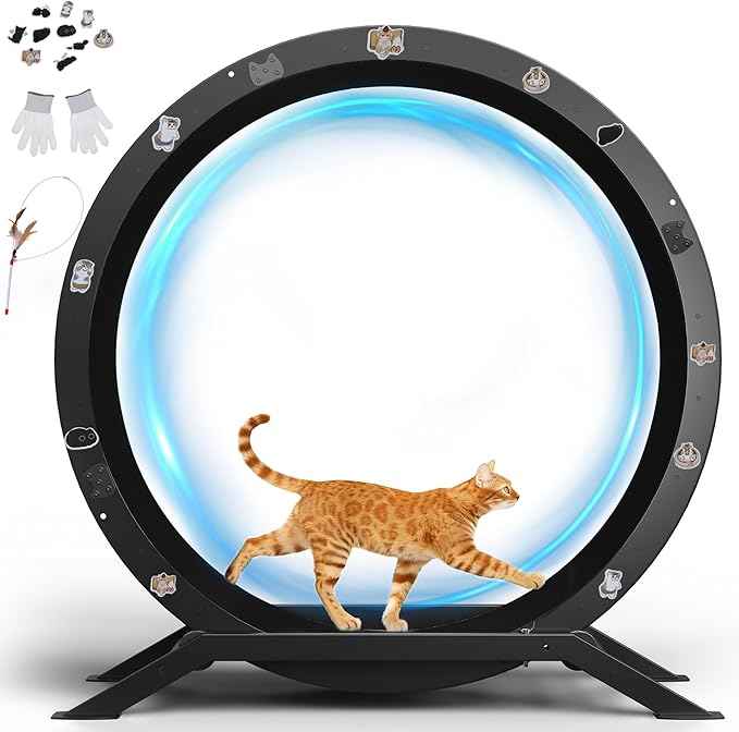 GTRACING Cat Wheels, 40" Diameter, Large Cat Exercise Wheel for Indoor Cats cat Treadmill Metal with Detachable Black Carpet & Teaser/Stickers, Ultra-Quiet Scroll Wheel with Latch, Safe and Stable