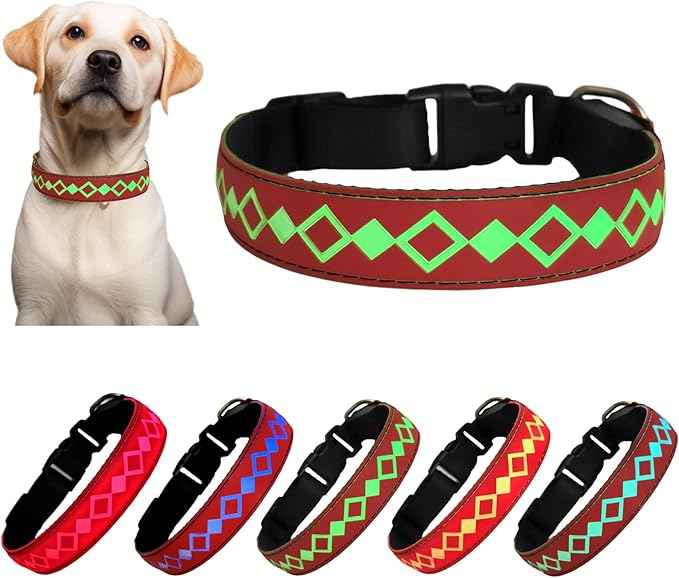 LED Dog Collar with AirTag Holder and Custom ID Tag, 15 Light Modes, Waterproof, Multiple Colors (RED, S(7.87-11.8"))