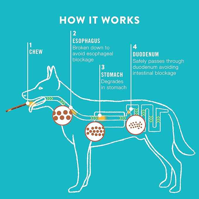 TRURANCH Collagen Sticks - 5" Collagen Sticks for Dogs - Long Lasting Healthy Joint Support - Rawhide Alternative - Skin & Coat Health - Made with Real Chicken, Value Pack, 3 Bags, 45 Count